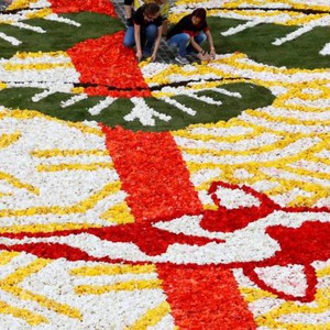 سجادة الزهور لعام 2016 في بروكسل موضوعها ياباني طقس العرب طقس العرب