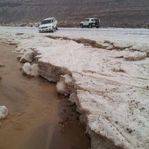 عيد المضلعاني تويتر