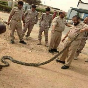 قائد قاعدة الملك فيصل الجوية بتبوك يذلل الصعاب لافتتاح نادي الحي