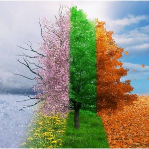 How are the seasons significant in literature - Twinkl