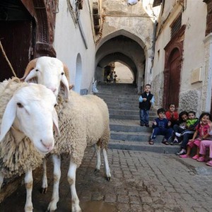 Ù…ØªÙ‰ Ù…ÙˆØ¹Ø¯ Ø¹ÙŠØ¯ Ø§Ù„Ø£Ø¶Ø­Ù‰ 2021 Ø·Ù‚Ø³ Ø§Ù„Ø¹Ø±Ø¨ Ø·Ù‚Ø³ Ø§Ù„Ø¹Ø±Ø¨