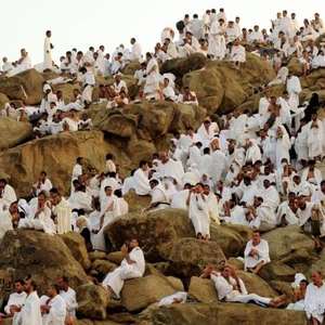 Urgent | The number of deaths of Jordanian pilgrims has risen to 41 pilgrims. May God have mercy on them