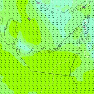Emirates | Al-Bawarih winds will continue to blow on Friday before returning to decline starting Saturday, God willing