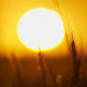 Climate: How long will weather fluctuations continue to affect the Kingdom?