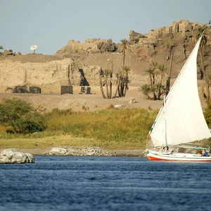مصر