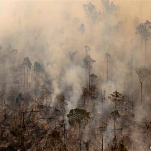 حرائق الأمازون... لماذا عليك أن تهتم بها وتدرك خطورتها؟