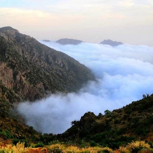 Abha tops the list of the coldest cities in the Kingdom, recording 5 degrees Celsius this morning.