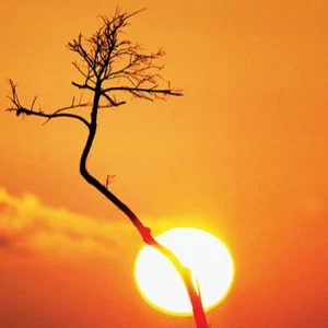 الانقلاب الصيفي السبت 21 حزيران: أطول نهار وبداية فصل الصيف فلكيًا في النصف الشمالي من الأرض | عرب تايم