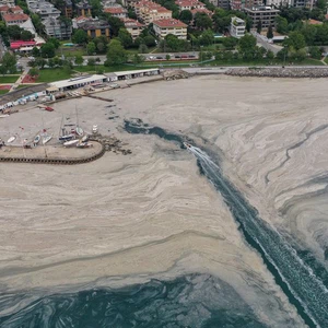 L'épaisse couche de 'sea gum' qui pollue les côtes turques s'élargit et les autorités peinent à la nettoyer
