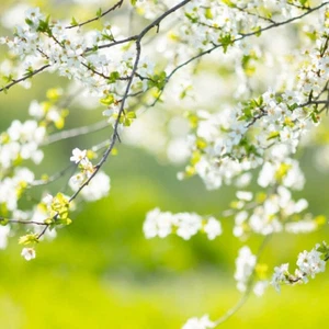 شهر رمضان يأتي في آذار ضمن فصل الشتاء فما هي أبرز السمات المناخية لهذا الشهر | عرب تايم شهر رمضان يأتي في آذار ضمن فصل الشتاء فما هي أبرز السمات المناخية لهذا الشهر | عرب تايم