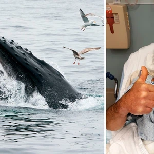 ابتلعه الحوت ثم بصقه.. أمريكي يروي أسود 30 ثانية في حياته وأغرب ما حدث له بعد النجاة!