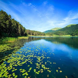 بحيرة أبانت.. جنة ساحرة بين اسطنبول وأنقرة
