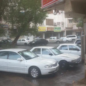 أمطار الخير المدينة المنورة عبر عبدالعزيز شرف