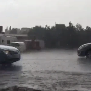 أمطار الشفا بمحافظة الطائف - صالح المنصوري