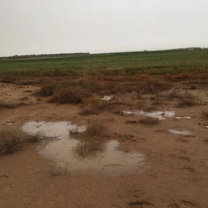 بالصور : أمطار رعدية في مناطق مختلفة من المملكة الثلاثاء 