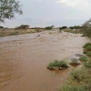 بالصور: أمطار رعدية غزيرة على مرتفعات عسير عصر اليوم الأحد  