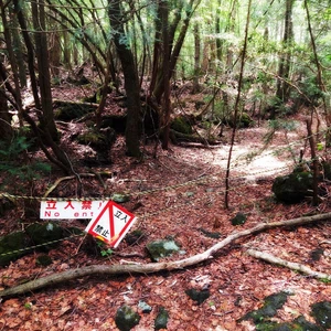 7 terrifying places.. Can you visit them?