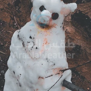 بالصور || هكذا عبر بعض الاشخاص عن فرحتهم بالثلوج بصنع رجل الثلج (Snowman) 