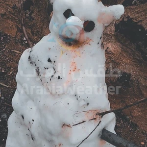 Pictures || This is how some people expressed their joy in snow making Snowman