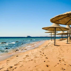 أين يمكنك السفر لمناطق دافئة خلال شهر ديسمبر؟