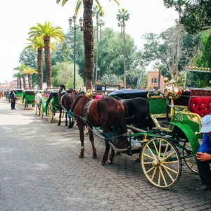 The road to the Bahia Palace in Marrakesh... in 27 photos