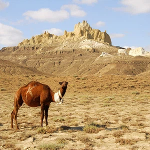 Kazakhstan.. le pays des bonnes surprises