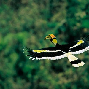 This is Khao Yai National Park, the most famous in Thailand