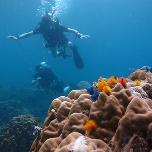 Que savez-vous de Koh Samui, en Thaïlande ?