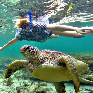  24 صورة من الفلبين.. سوف تغريك بزيارتها