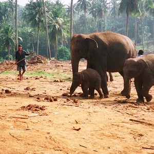 28 photos du Sri Lanka qui donnent envie d&#39;y aller