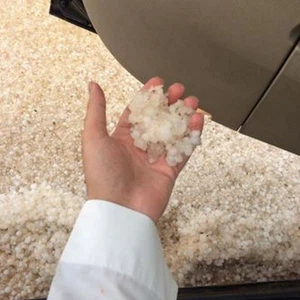 أحدهم يمسك بالبرد في يده في المجمعة 