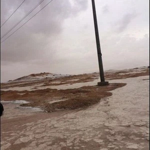 بردية محافظة مجمعة