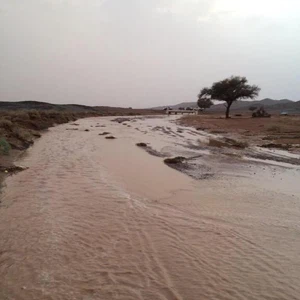 امطار الجرير الشمالي  غرب القصيم بعدسة mgoodhaa