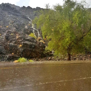 امطار الخير على ظاهر الفوارس ولاية عبري تصوير احمد العلوي بو الجوري عبر الخيمة العمانية