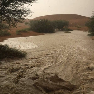 امطار المنطقة الوسطى بالشارقة