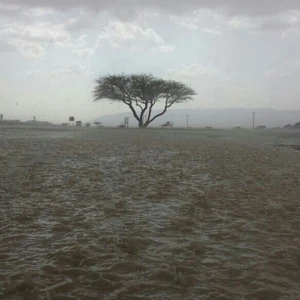 الأمطار في أم غافة بمدينة العين