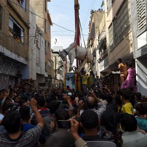 بالصور: هكذا يحتفل المسلمون حول العالم  بعيد الأضحى 