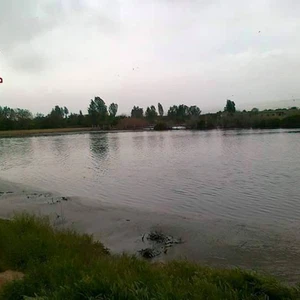 Pictures: Barada River overflows in Eastern Ghouta and floods more than 200 dunums