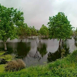 Pictures: Barada River overflows in Eastern Ghouta and floods more than 200 dunums