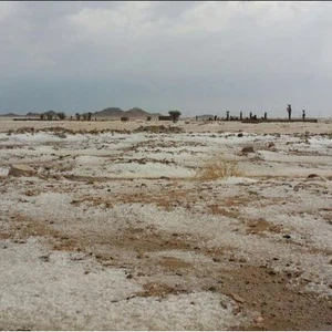 بردية مدينة النفي التابعة لمنطقة الرياض