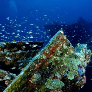 De superbes photos et raisons de voyager sur l&#39;île caribéenne d&#39;Aruba