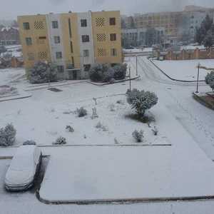 بالصور: الثلوج في الجزائر تغطي مناطق واسعة 