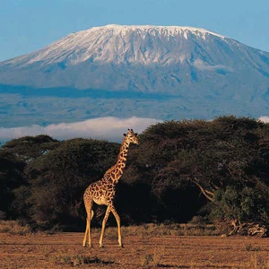 Learn about the best tourist experiences in Tanzania