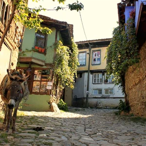 جومالي كيزيك .. قرية عثمانية خالصة في تركيا