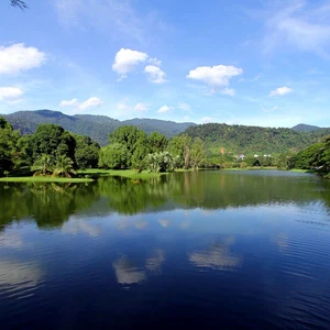 Taiping Lake Gardens, Malaysia