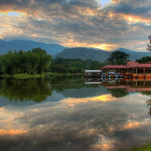 Jardins du lac Taiping, Malaisie