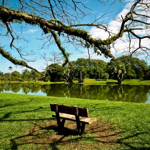 Taiping Lake Gardens, Malaysia