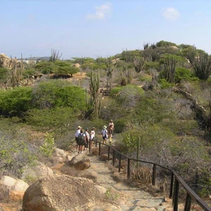 Great photos and reasons to travel to the Caribbean island of Aruba