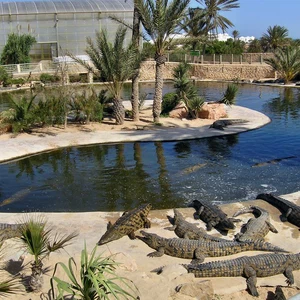 Le tourisme sur l&#39;île tunisienne de Djerba en images