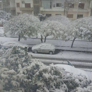 بالصور : مدينة حمص تكسوها الثلوج !  